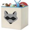 Whitmor Frog Collapsible Cube(KIDS CANVAS COLLAPSIBLE CUBE-RACCOON)