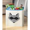 Whitmor Frog Collapsible Cube(KIDS CANVAS COLLAPSIBLE CUBE-RACCOON)