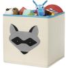 Whitmor Frog Collapsible Cube(KIDS CANVAS COLLAPSIBLE CUBE-RACCOON)